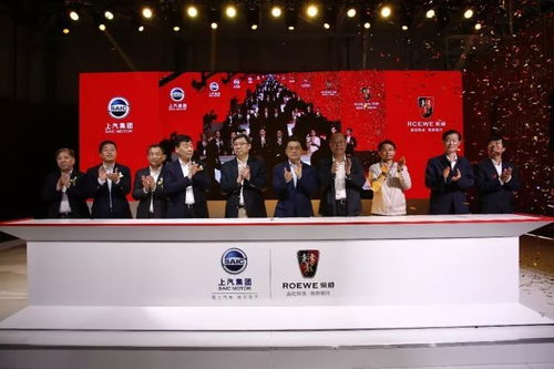 自主的崛起,必定撬动整个国内市场