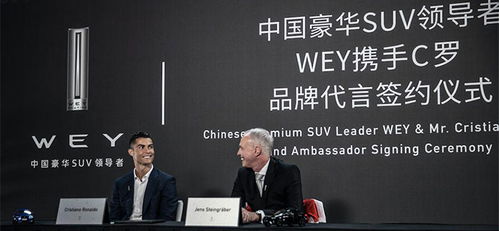 不满销量现状 传哈弗H系F系公关部将整合，复盘长城魏建军的变革公关