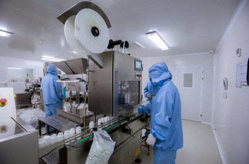 走进国和堂透明工厂，解锁烟台食品安全密码